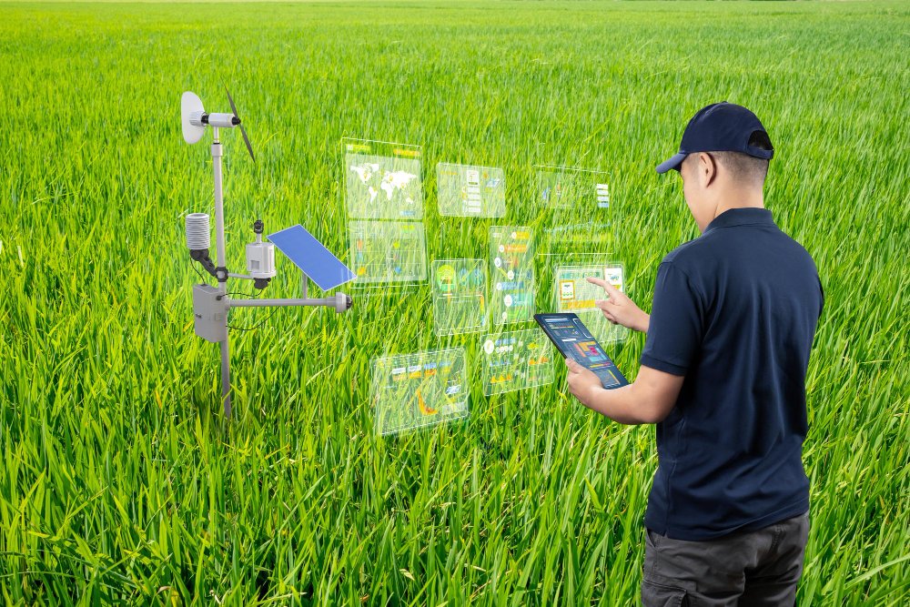 Utilization of Satellites in Agriculture for Data Collection and Yield Improvement